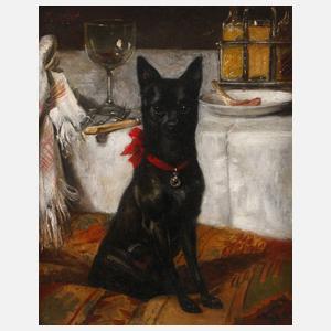 Steinhardt, Hundeportrait