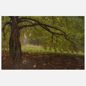 Achilles Storms, Im Park