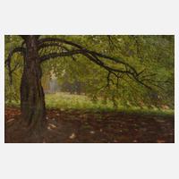 Achilles Storms, Im Park111