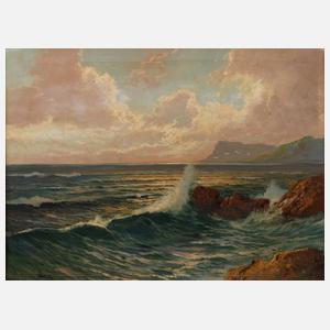 Franz Waldegg, Strandansicht mit Möwen