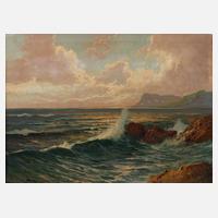 Franz Waldegg, Strandansicht mit Möwen111