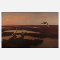 Wilhelm Widell, Schwäne im Abendrot111