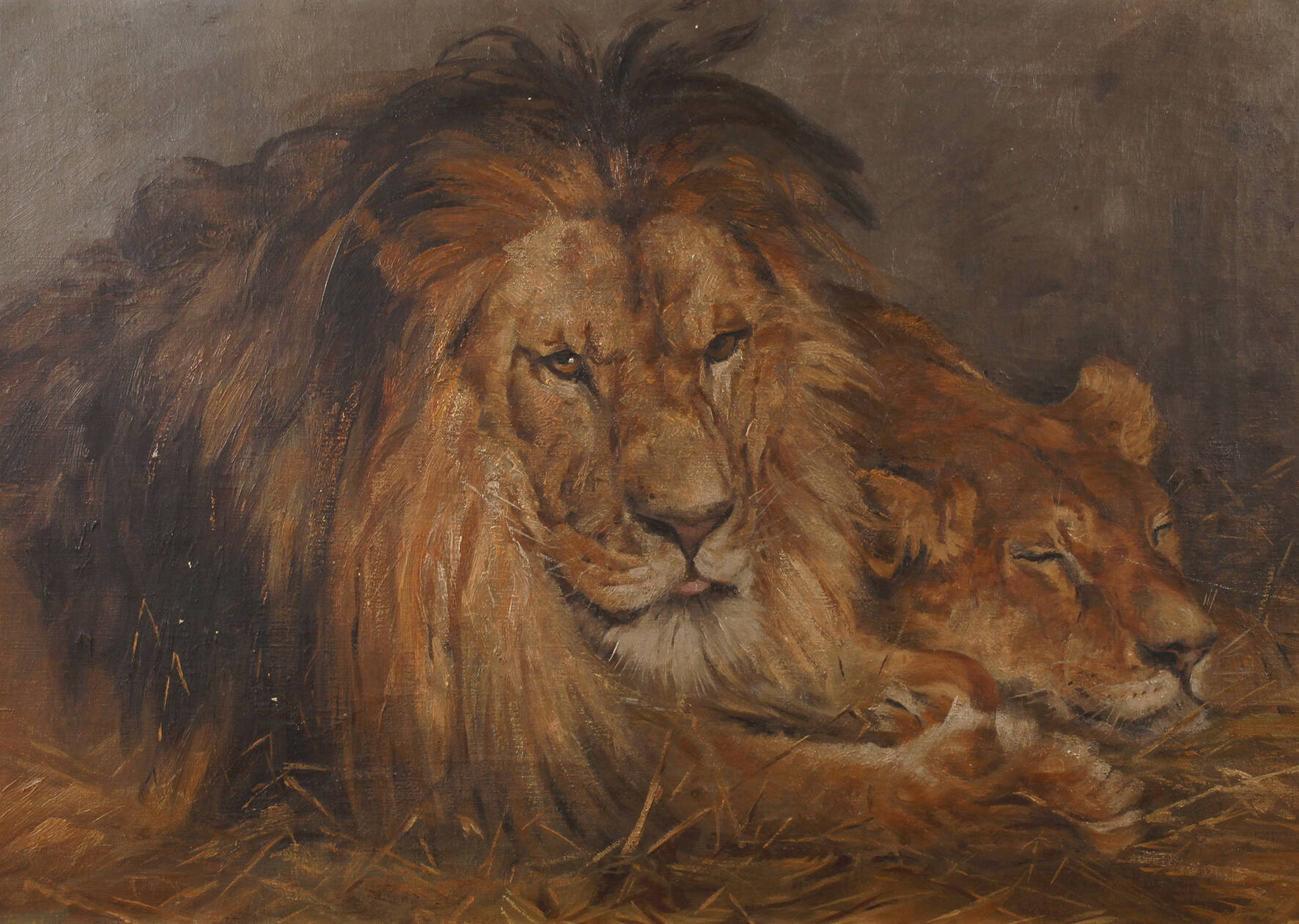 Löwenpaar