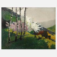 Schwarzwälder Frühlingslandschaft111