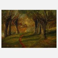 Sommerliche Kahnpartie111