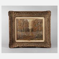 Herbstlicher Birkenwald111