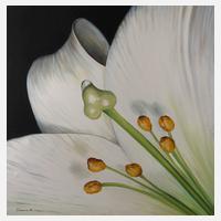 T. Jackiewicz, "White Flower"111