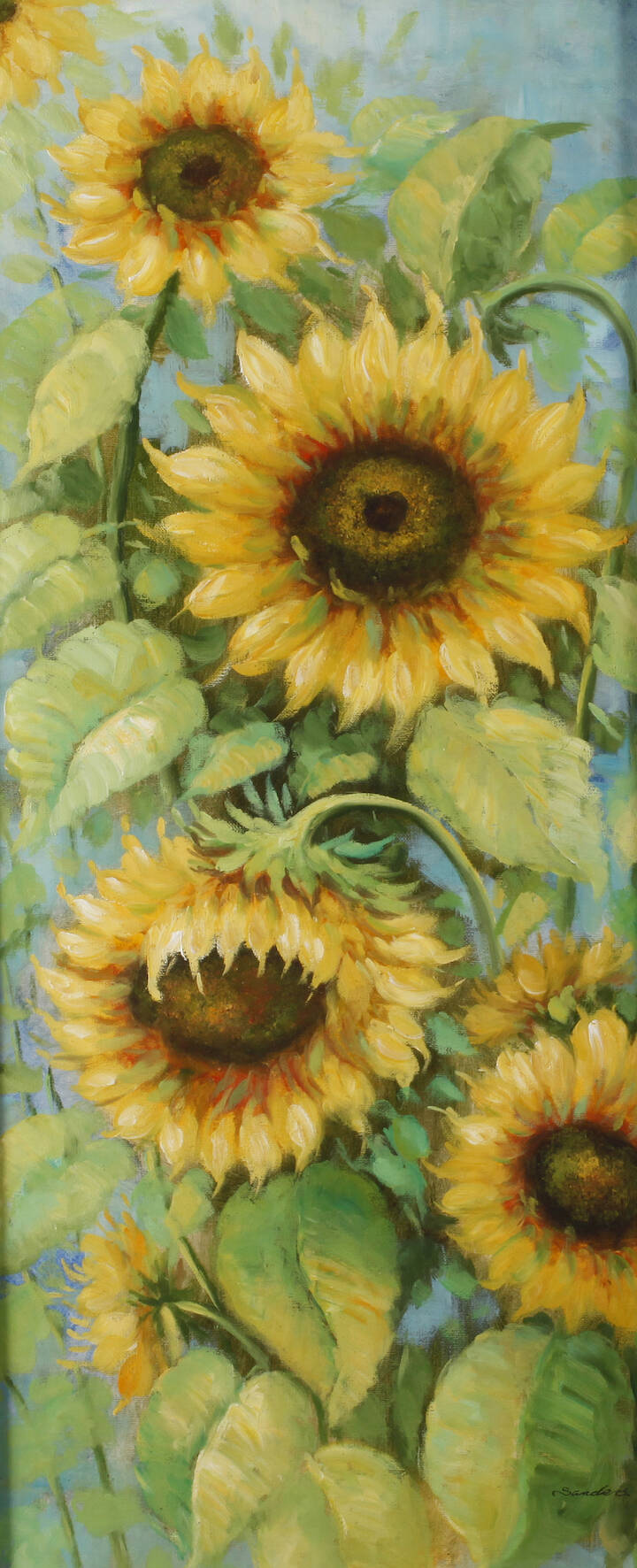 Christopher Sanders, Sonnenblumen