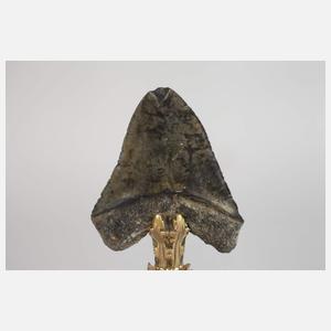 Kunstkammerobjekt Megalodonzahn