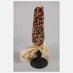 Fünf Fruchtstände Mais