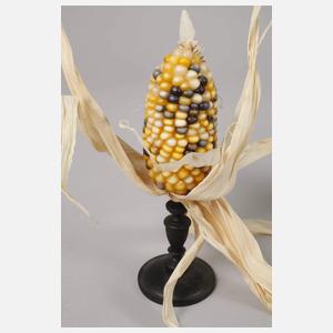 Fünf Fruchtstände Mais