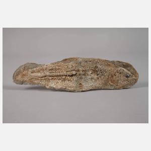 Versteinerter Knochenfisch
