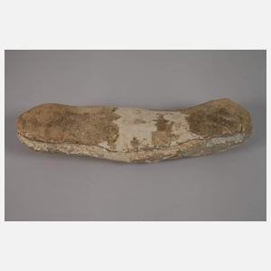 Versteinerter Knochenfisch