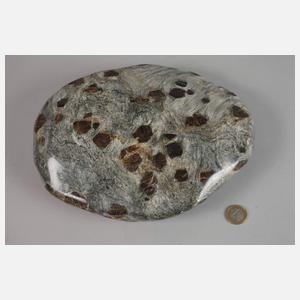 Granat im Glimmerschiefer