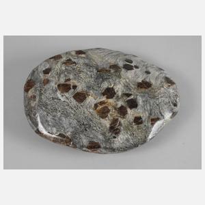 Granat im Glimmerschiefer