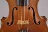 Violine