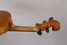 Violine