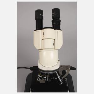 Stereomikroskop Zeiss