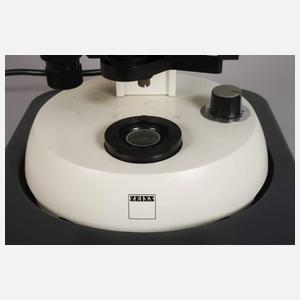 Stereomikroskop Zeiss