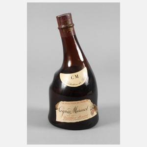 Flasche Cognac