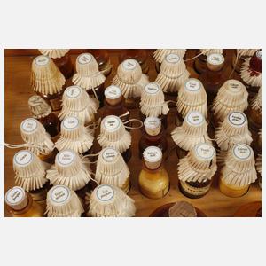 Große Reiseapotheke