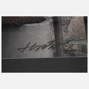 Zwei chinesische Fotografien