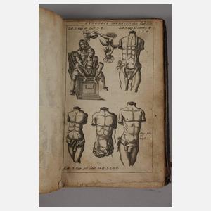 Synopsis Medicinae Therapeutica