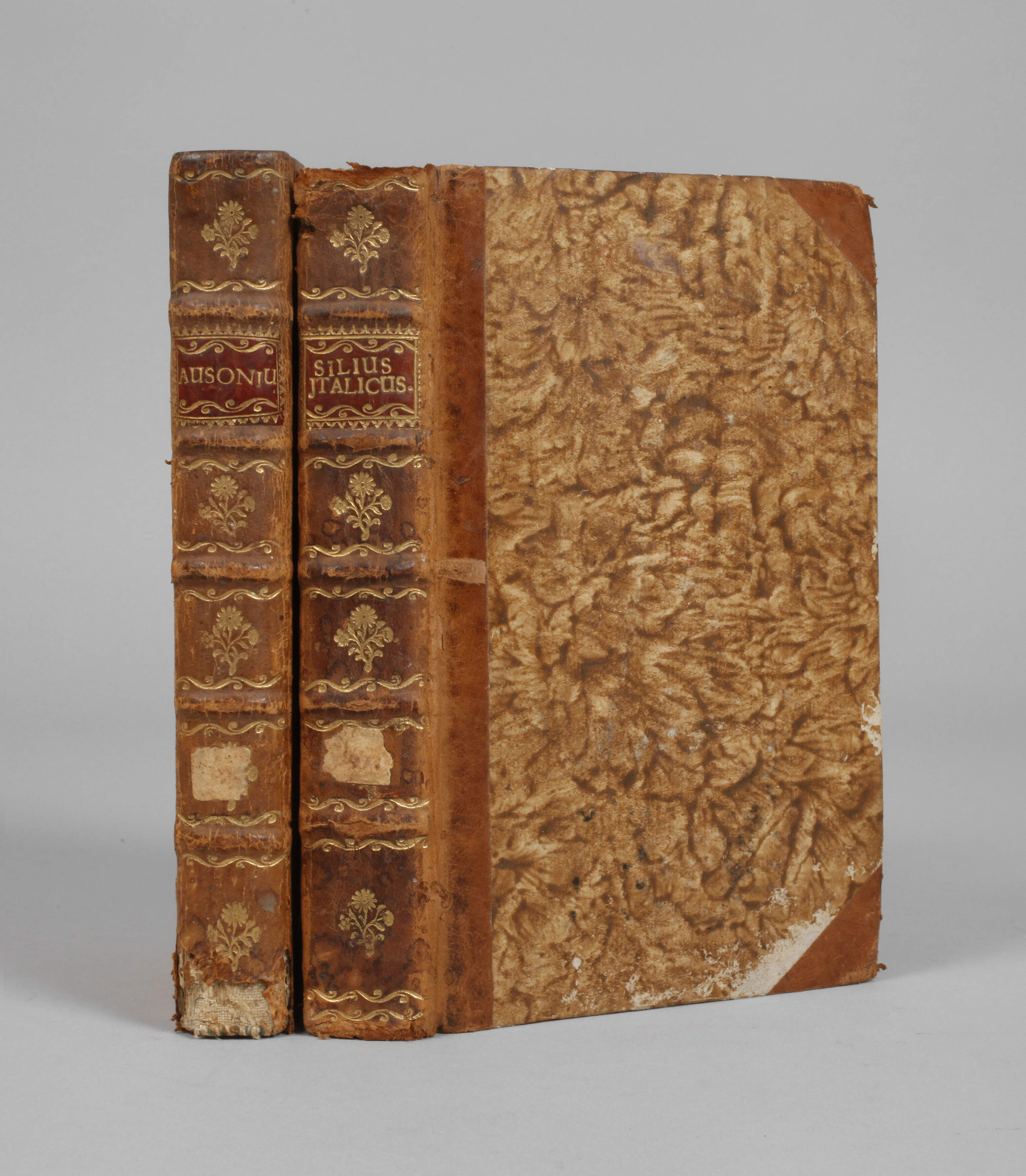 Zwei Bücher Biponti