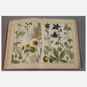 Zwei Bücher Naturkunde