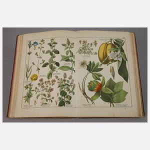 Zwei Bücher Naturkunde