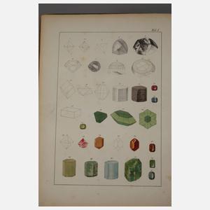 Zwei Bücher Naturkunde