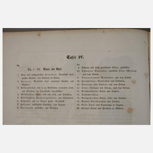 Zwei Bücher Naturkunde