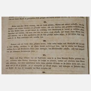 Chronik der freien Bergstadt Schneeberg