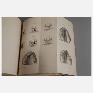 Archiv für klinische Chirurgie