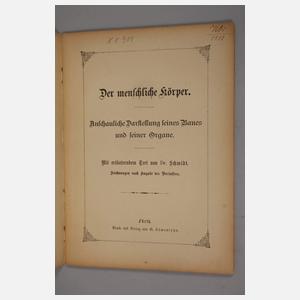 Der menschliche Körper