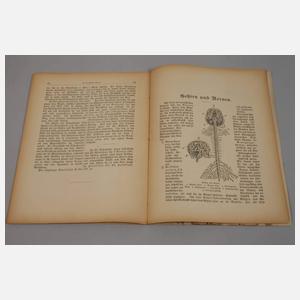 Der menschliche Körper