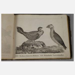 Neue Bildergallerie für die Jugend