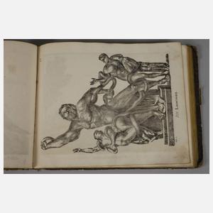 Neue Bildergallerie für die Jugend