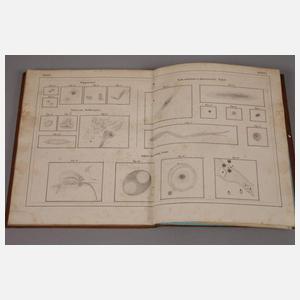 Atlas des gestirnten Himmels