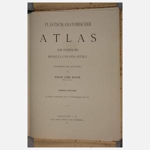Plastisch-anatomischer Atlas