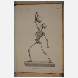 Plastisch-anatomischer Atlas