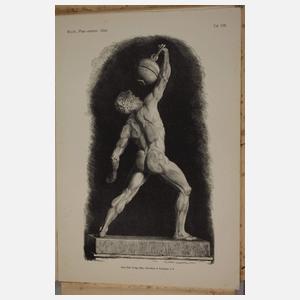 Plastisch-anatomischer Atlas