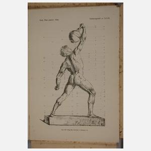 Plastisch-anatomischer Atlas