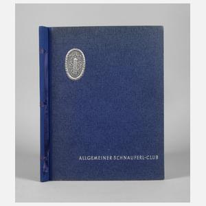 Die Urzeit des Automobils