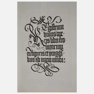 Registrum Huius Operis libri cronicarum