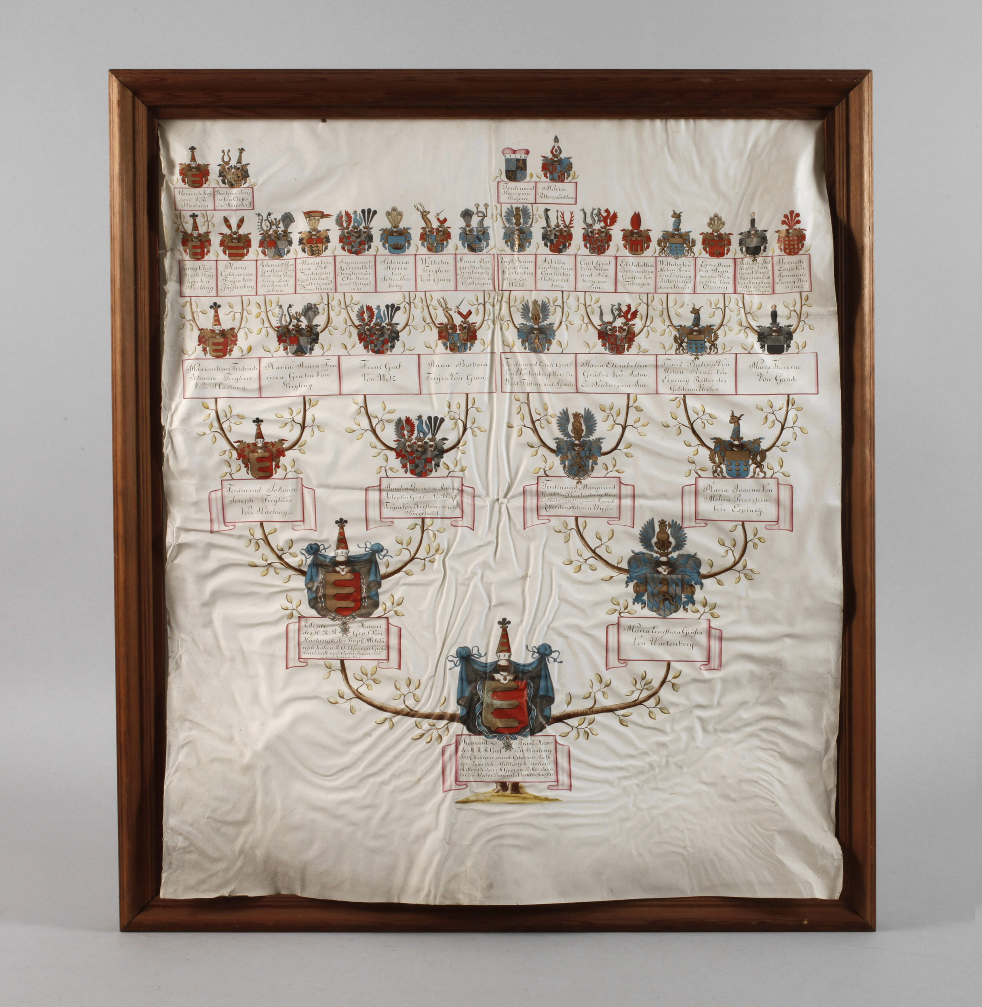 Prächtiger Stammbaum