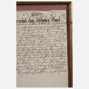 Lehensbrief über ein Tagwerk Wiesen