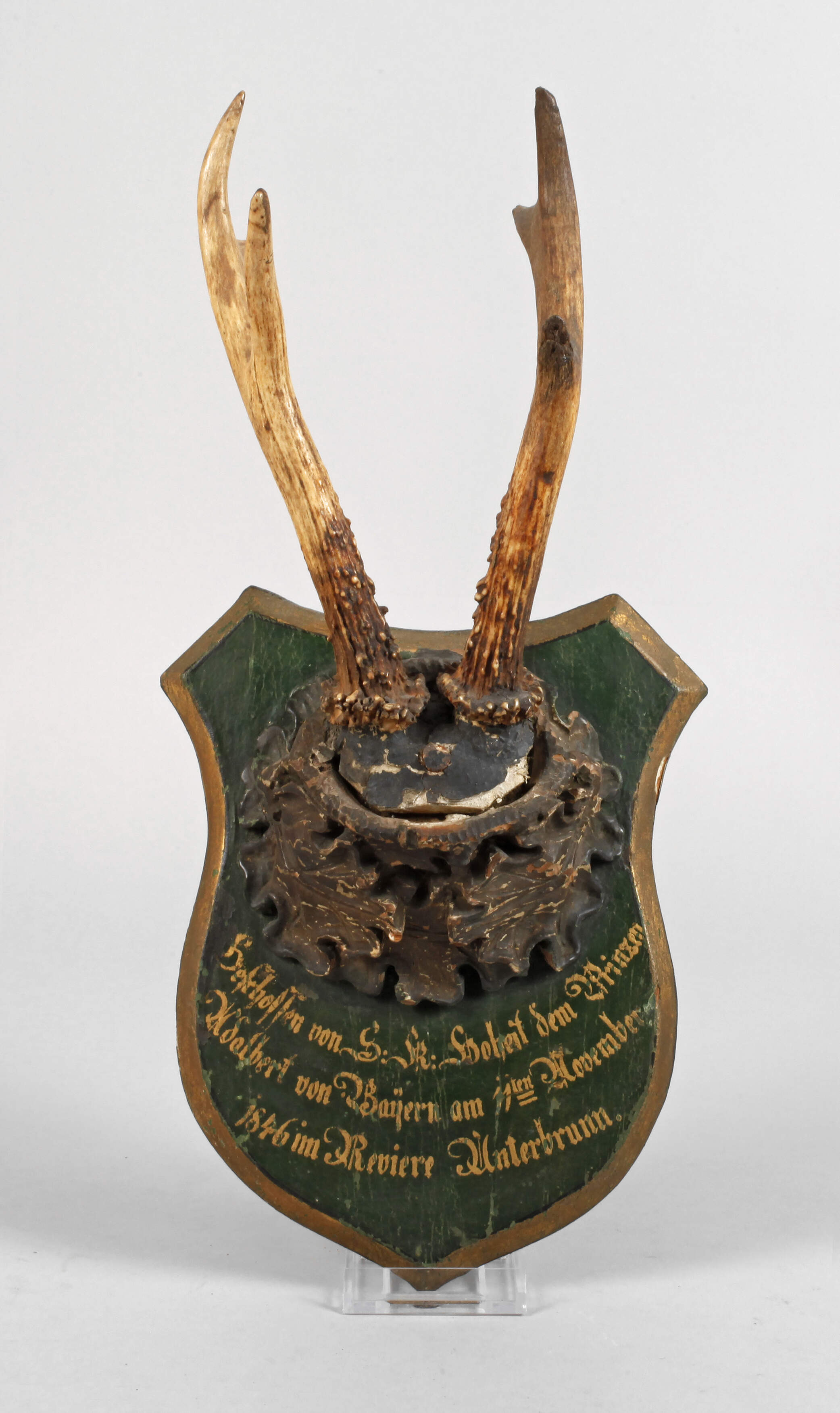 Jagdtrophäe aus Adelsbesitz