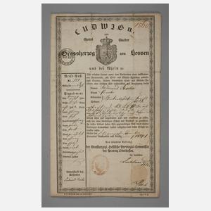 Reisepass für Ferdinand Scriba