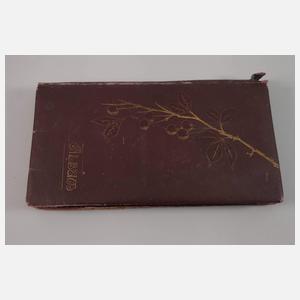 Ansichtskartenalbum Europa